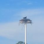 Sandy Point State Park Youth Group Camp Ground