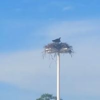 Sandy Point State Park Youth Group Camp Ground ico