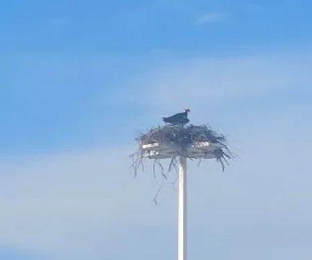 Sandy Point State Park Youth Group Camp Ground