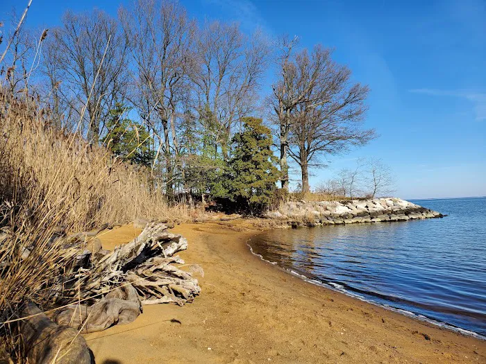 Sandy Point State Park Youth Group Camp Ground Picture 6