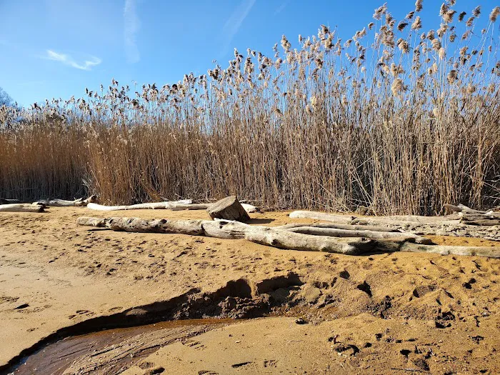 Sandy Point State Park Youth Group Camp Ground Picture 10