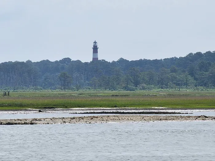 Tom's Cove Park Picture 7