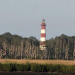 Tom's Cove Quarter Horses