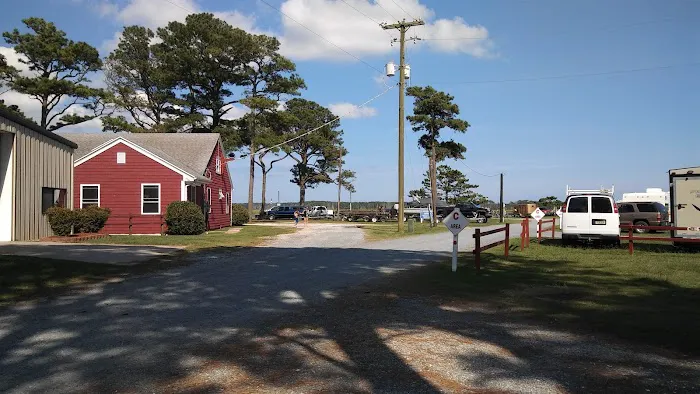 Tom's Cove Quarter Horses Picture 4
