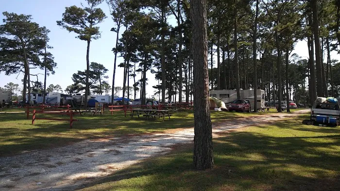 Tom's Cove Quarter Horses Picture 3