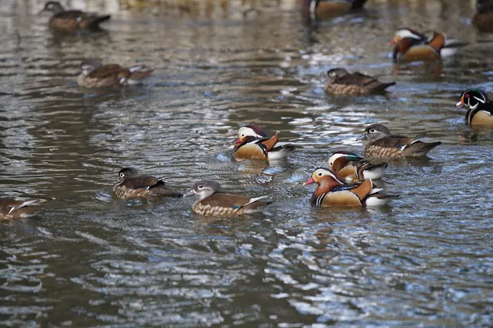 Pine Grove Campground Picture 3