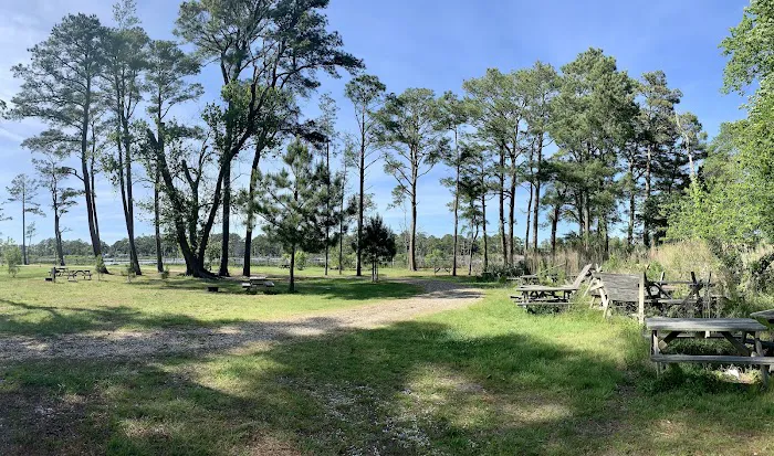 Pine Grove Campground Picture 4