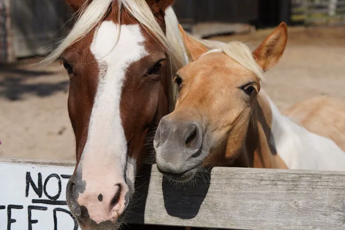 Pine Grove Campground Picture 10