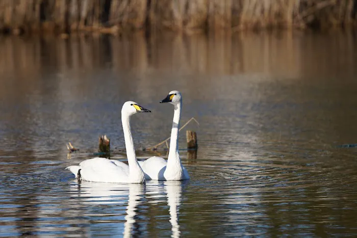 Pine Grove Campground Picture 9