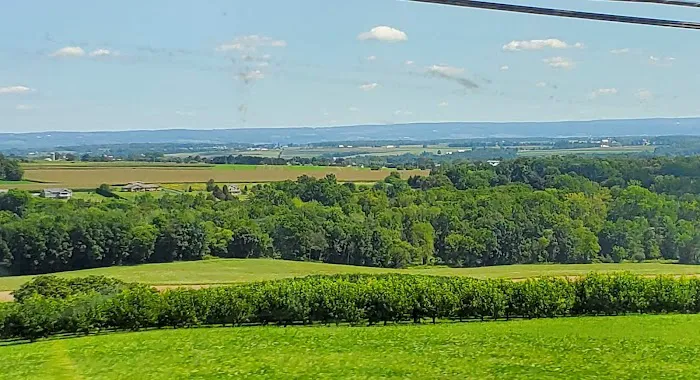 Camp In the Woods Picture 4