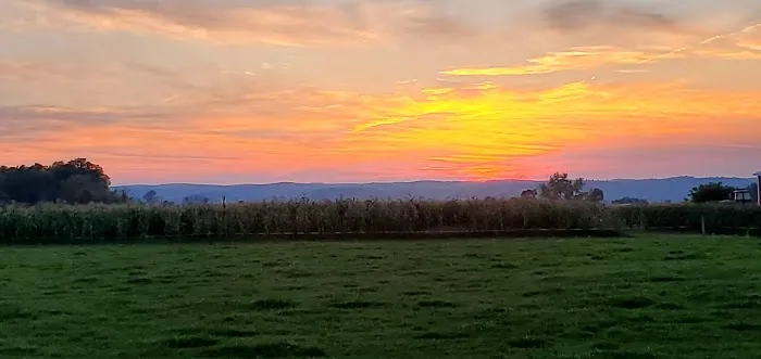 Camp In the Woods Picture 2