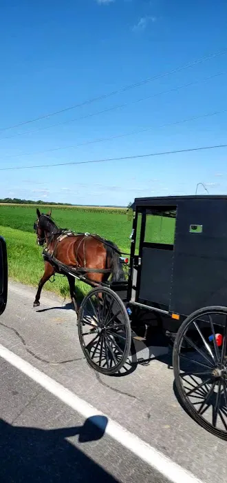 Camp In the Woods Picture 3