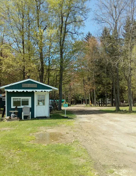 Piney Woods Campsites Picture 4