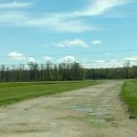 Piney Woods Campsites