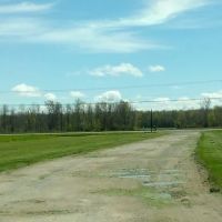 Piney Woods Campsites ico