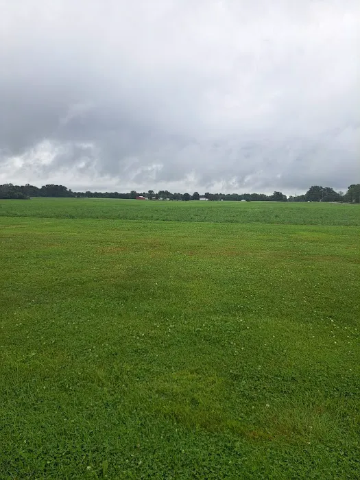 Piney Woods Campsites Picture 3