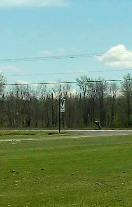 Piney Woods Campsites Picture 10