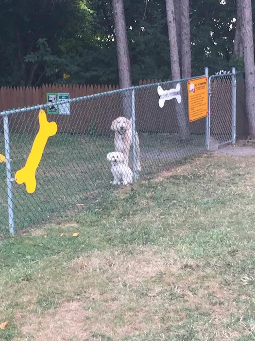 Canandaigua / Rochester KOA Holiday Picture 8