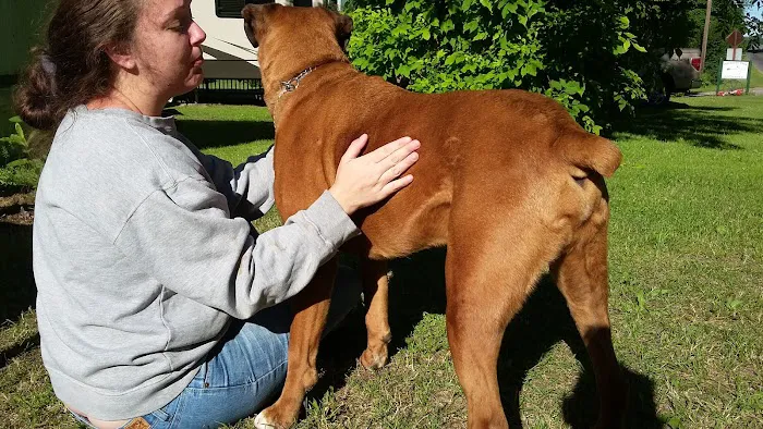 Port Bay RV Park & Campgrounds Picture 5