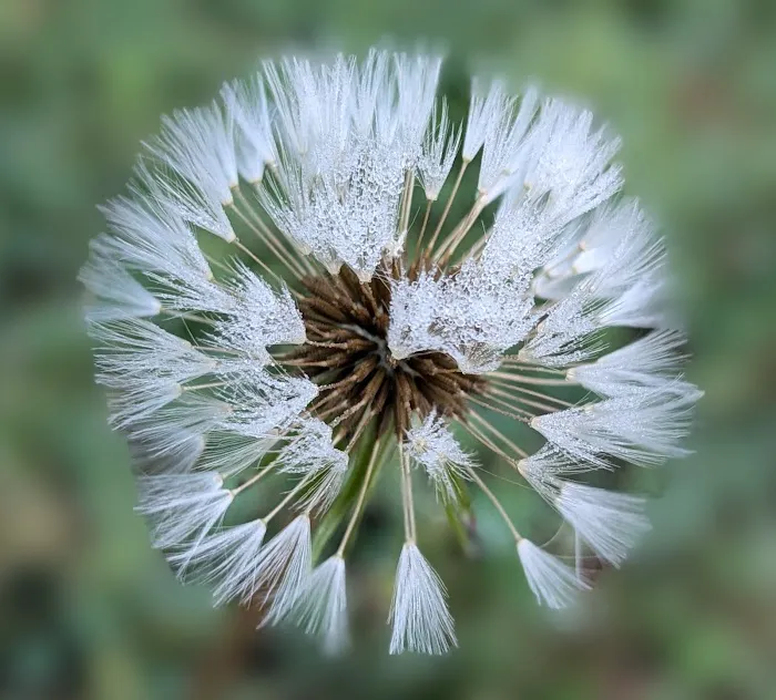 Port Bay RV Park & Campgrounds Picture 4