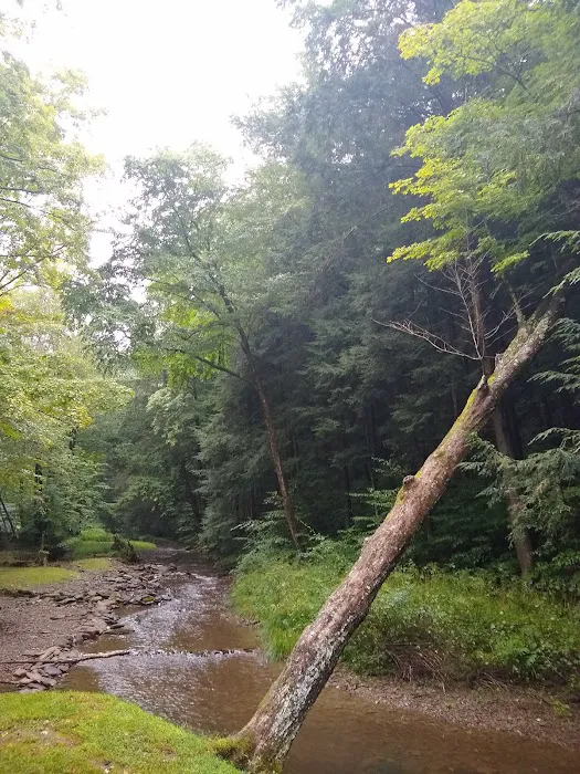 Austin Campground Picture 5