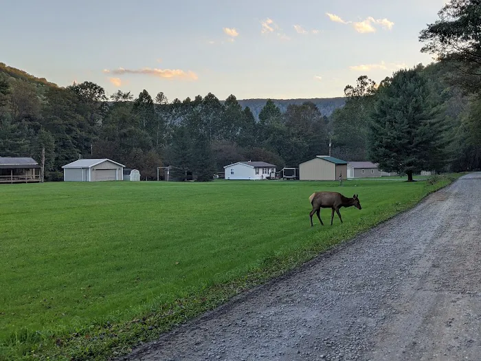 Austin Campground Picture 2