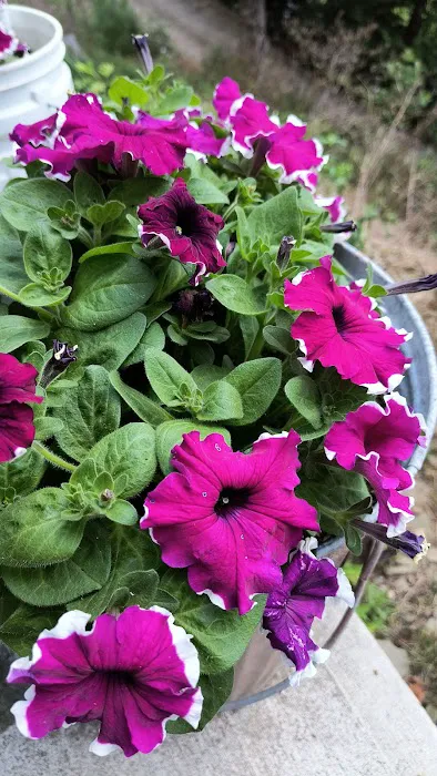 Austin Campground Picture 7