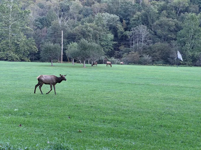 Austin Campground Picture 4