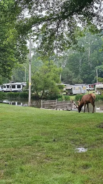 Hemlock Campground of Potter County Picture 7
