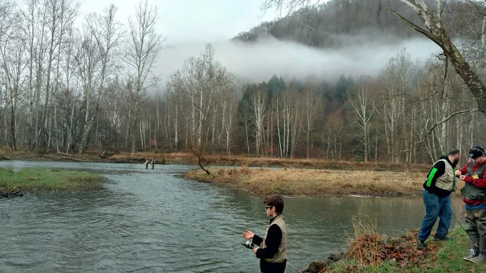 Hemlock Campground of Potter County Picture 6