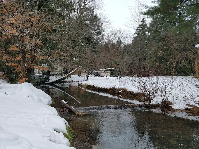 Hemlock Campground of Potter County Picture 8