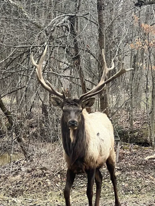 Hemlock Campground of Potter County Picture 3