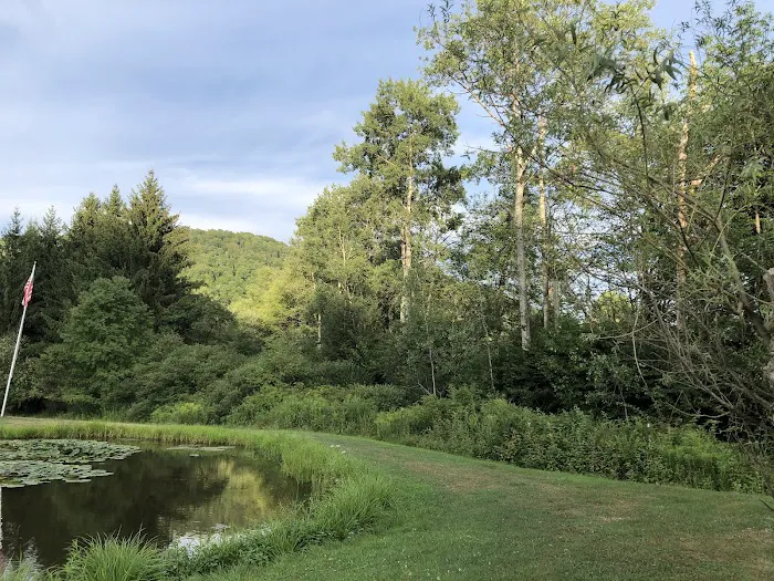 Cady Hollow Campground Picture 10