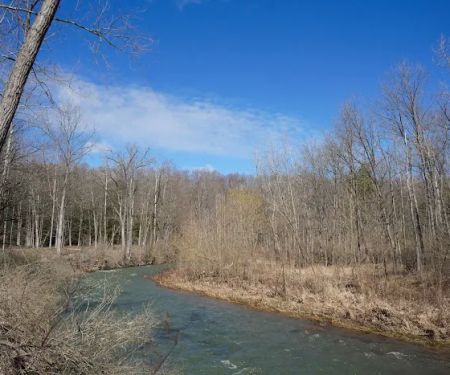 Sun Valley Campsites