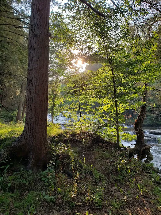 Sun Valley Campsites Picture 3