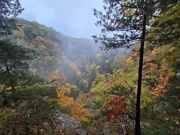 Group Camp Entrance, Stony Brook Picture 2
