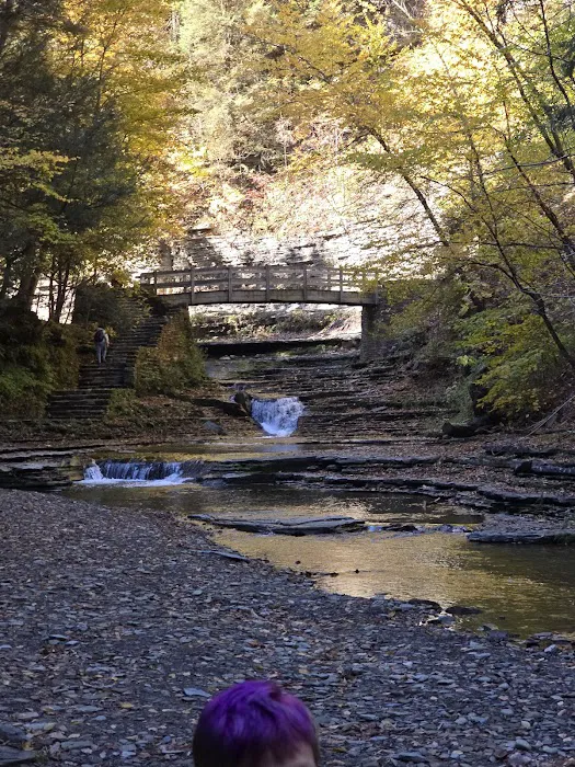 Group Camp Entrance, Stony Brook Picture 3