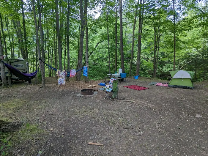 Group Camp Entrance, Stony Brook Picture 1