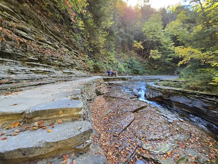 Group Camp Entrance, Stony Brook Picture 5