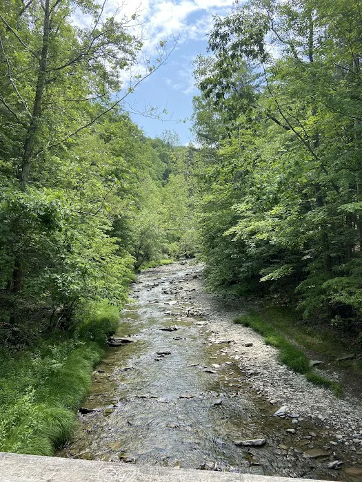 Stony Brook State Park Campground Picture 5