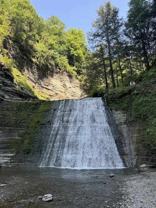 Stony Brook State Park Campground Picture 4