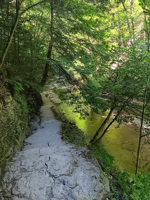 Stony Brook State Park Campground Picture 7