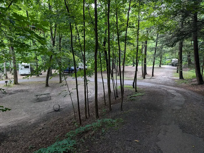 Stony Brook State Park Campground Picture 8