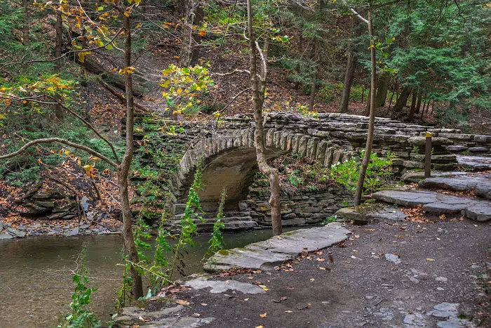 Stony Brook State Park Campground Picture 10