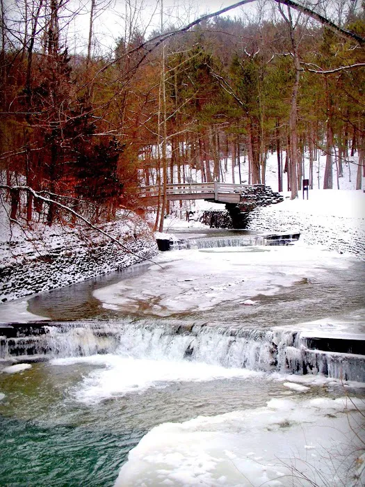 Stony Brook State Park Campground Picture 3