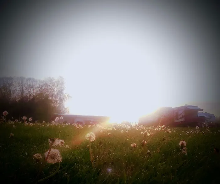 Skybrook Campground Picture 1