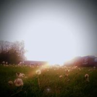 Skybrook Campground ico