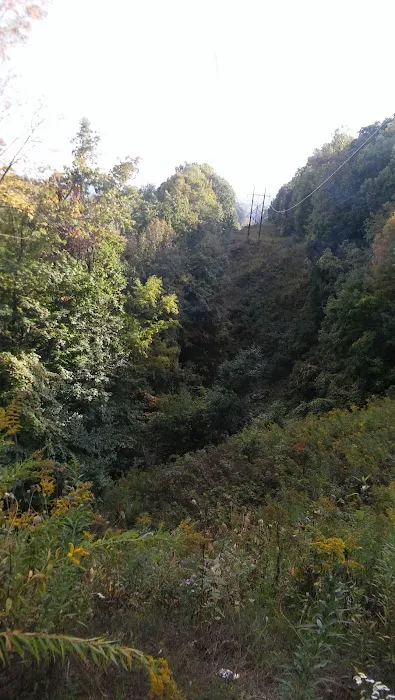 Skybrook Campground Picture 8