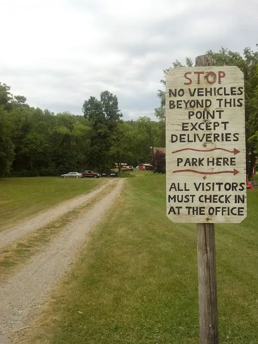 Camp Koinonia NY Picture 8