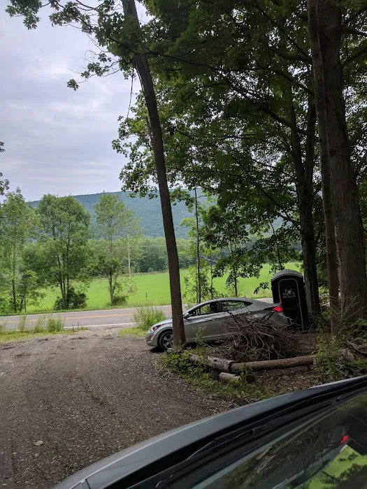 Mountainside Camp Site Picture 7